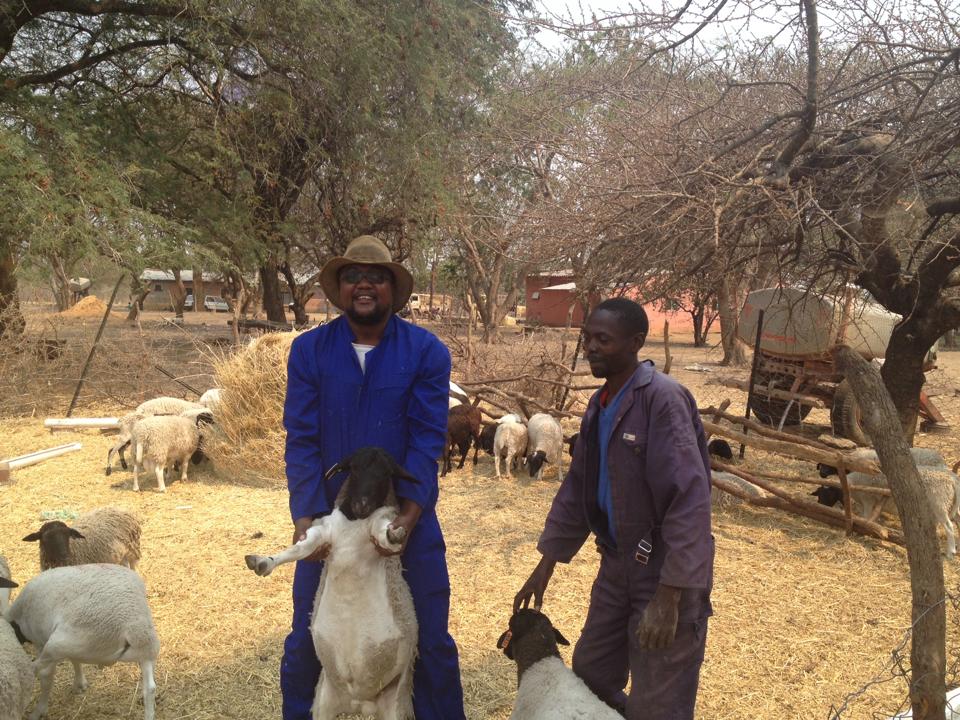 Diverse farming scenes across Zambia