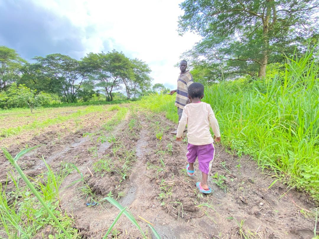 A smallholder farmer, Zambia — the people we build for